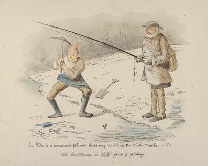 The Pike is a voracious fish and bites readily in the Winter months–Old Gentleman is VERY fond of fishing
