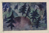 The Pine Trees