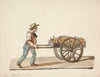 The Pineapple Seller