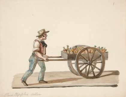 The Pineapple Seller