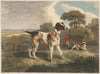 The Pointer (1812)
