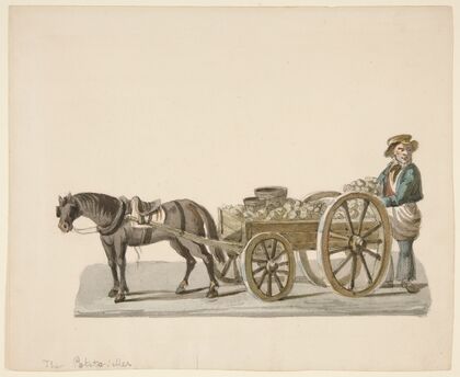 The Potato Seller