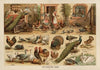 The Poultry Yard