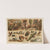 The Poultry Yard by Frederick Warne &amp; Co