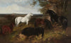 The Queen’s ponies in Windsor Park, with Windsor Castle beyond