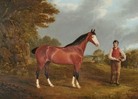 The racehorse ‘Whiteface’ with groom J. Gilham