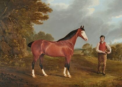 The racehorse ‘Whiteface’ with groom J. Gilham