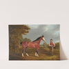 The racehorse &#039;Whiteface&#039; with groom J. Gilham by John Frederick Herring Snr.