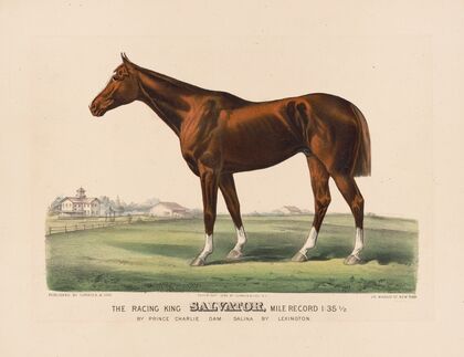 The racing King salvator (1890)