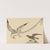 The Rice-bird (Emberiza oryzivora) by Mark Catesby
