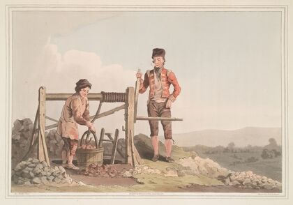 The ruddle pit, Plate 10