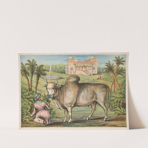 The sacred ox (1874) by Gibson &amp; Co. Lith