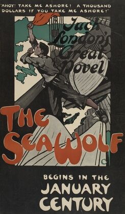 The sea wolf