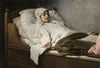 The Seeress of Prevorst (1892)