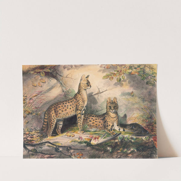 The Serval by Joseph Wolf