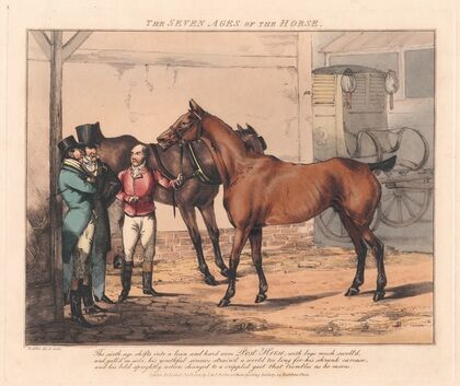 The Seven Ages of the Horse