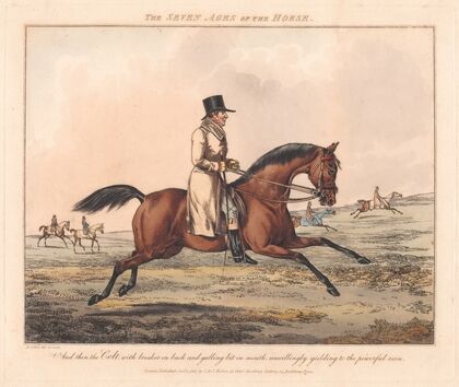The Seven Ages of the Horse 7