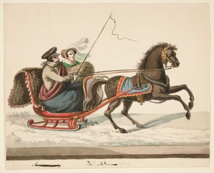 The Sleigh Party