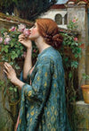 The Soul of the Rose