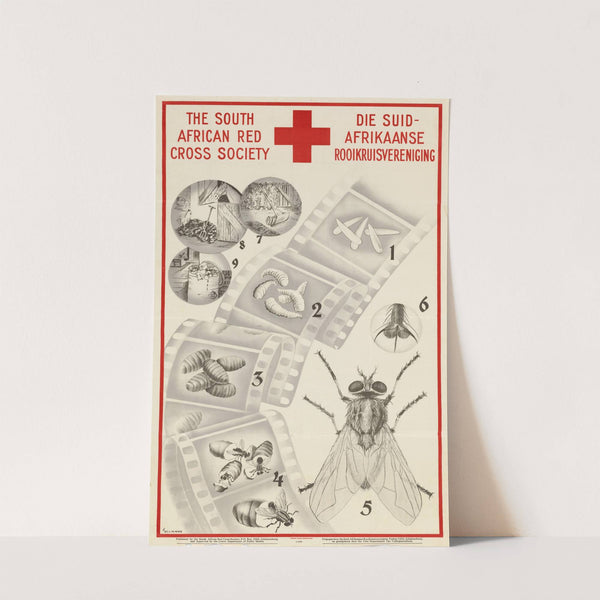 The South African Red Cross Society by E. Ullmann