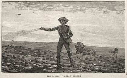 The Sower (1878)