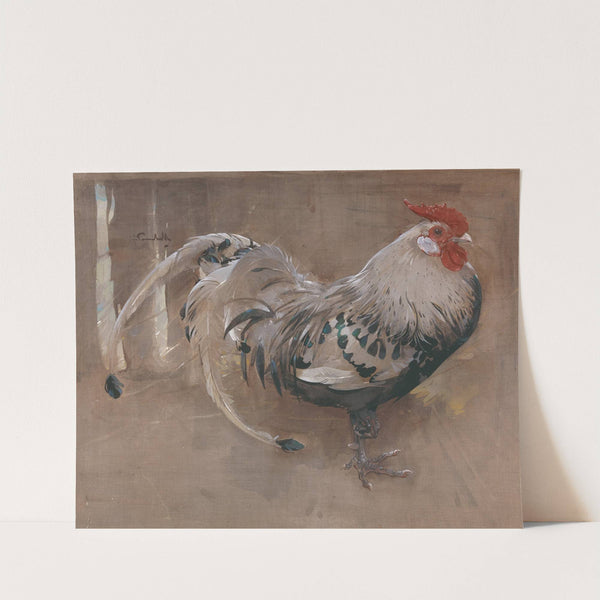 The Spangled Cock by Joseph Crawhall