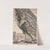 The Standard Bearer, Turned to Left (1587) by Hendrick Goltzius