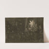 The Star of the Kings; a night piece by Rembrandt van Rijn