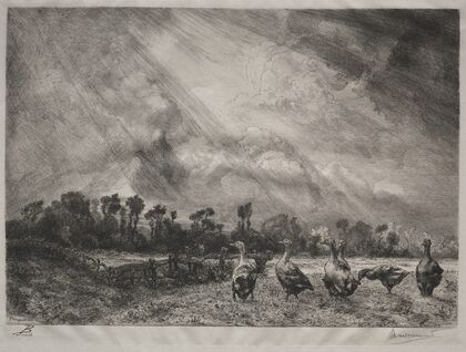 The Storm Cloud (1878–1887)