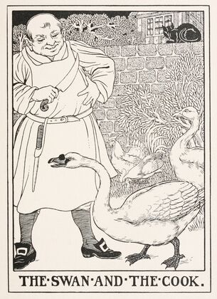 The Swan and the Cook