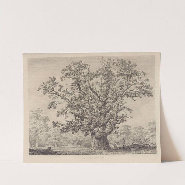 The Swilcar-Lawn Oak by Jacob George Strutt