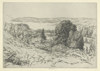 The Sylvan Sea (1924)
