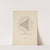 The Theory and Practice of Color Pl.10 by Bonnie E. Snow