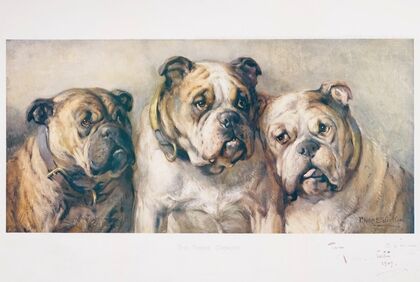 The Three Graces