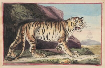 The Tiger (1787)