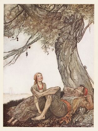 The Travellers and the Plane-tree