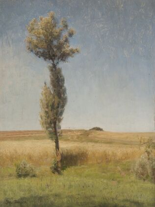 The Tree