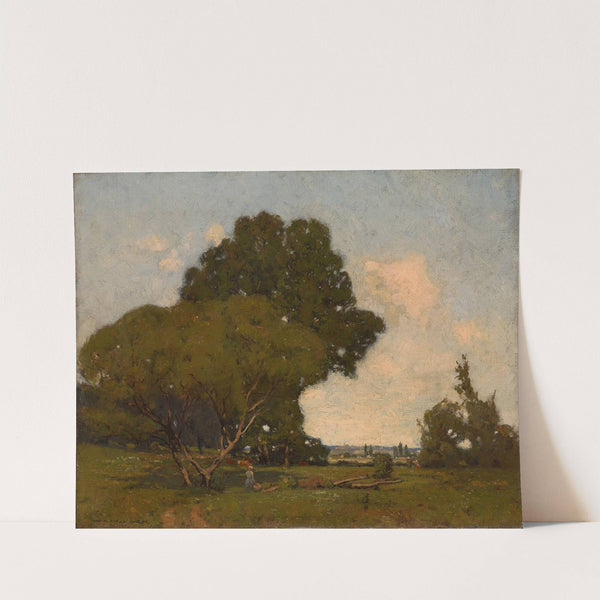 The Trees, Early Afternoon, France by William A. Harper