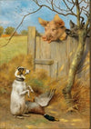 The Trial