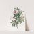 The Variegated Chinese Azalea by Sydenham Edwards