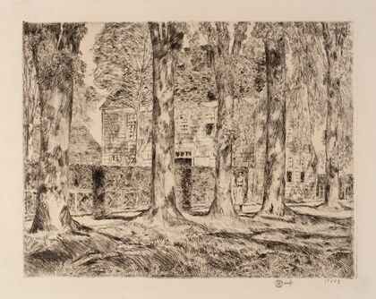 The Village Elms, Easthampton (1923)