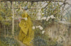 The Vine (1884)