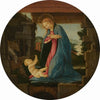 The Virgin Adoring the Child (1480)
