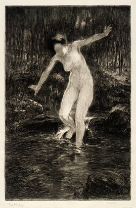 The Wader