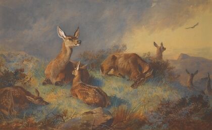 The Watchful Hinds