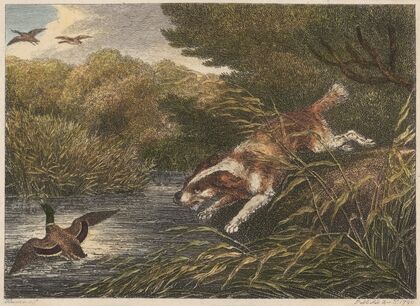 The Water Spaniel (1812)