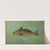 The Weakfish or Squeteague, Cynoscion regale. (1898) by John L. Petrie