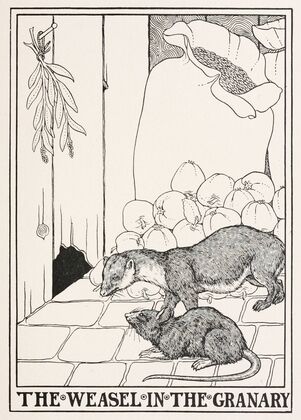The Weasel in the Granary
