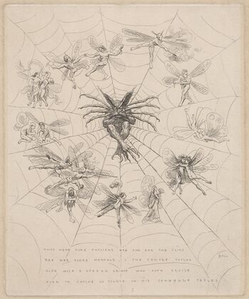 The Web