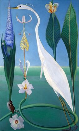The White Heron